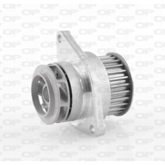 Pompe à eau OPEN PARTS OEM 36121005J