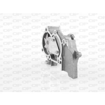 Pompe à eau OPEN PARTS OEM 1610097205