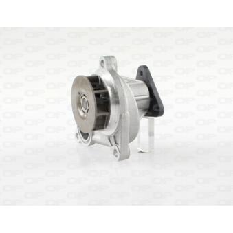 Pompe à eau OPEN PARTS OEM 251002A300