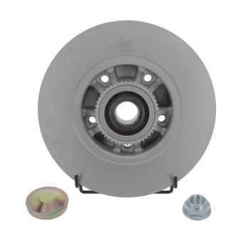 Jeu de 2 disques de frein arrière JURID OEM 8200228610