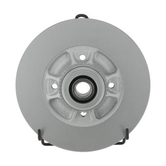 Jeu de 2 disques de frein arrière JURID OEM 7701208054