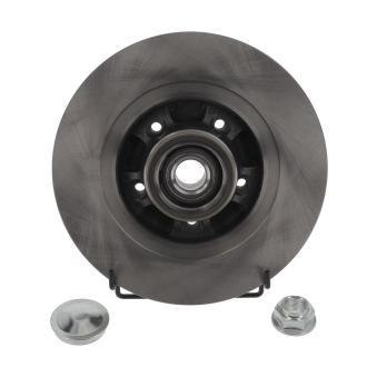 Jeu de 2 disques de frein arrière JURID OEM 4154203300