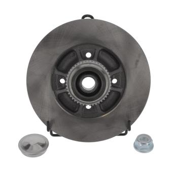 Jeu de 2 disques de frein arrière JURID OEM 7701207611