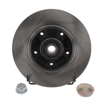 Jeu de 2 disques de frein arrière JURID OEM 432001539R