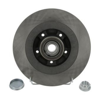 Jeu de 2 disques de frein arrière JURID OEM 402020536R