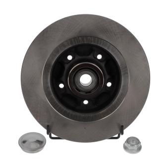 Jeu de 2 disques de frein arrière JURID OEM 7701208850