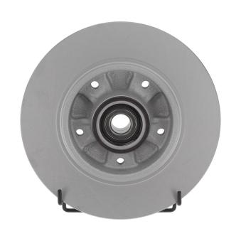 Jeu de 2 disques de frein arrière JURID OEM 432009292R