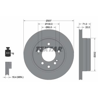 Jeu de 2 disques de frein arrière TEXTAR OEM 4840109100