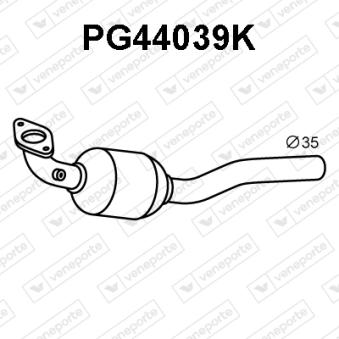 Catalyseur VENEPORTE OEM 174100Q080