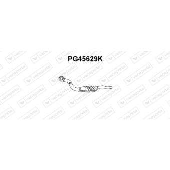 Catalyseur VENEPORTE [PG45629K]