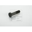 PE Automotive 017.004-00A - Boulon de roue
