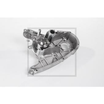 Pompe à eau PE Automotive OEM 504323990