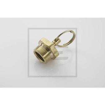 Valve de purge PE Automotive OEM 201107