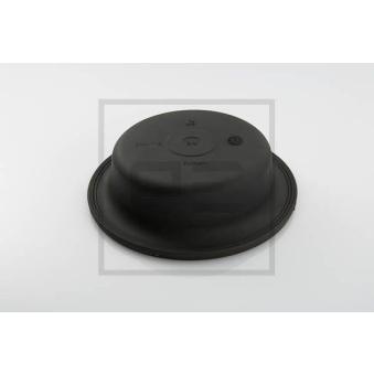 Diaphragme, cylindre de frein PE Automotive OEM 01912361