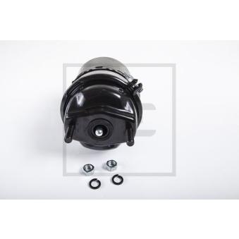 Cylindre de frein à ressort PE Automotive OEM 2192929