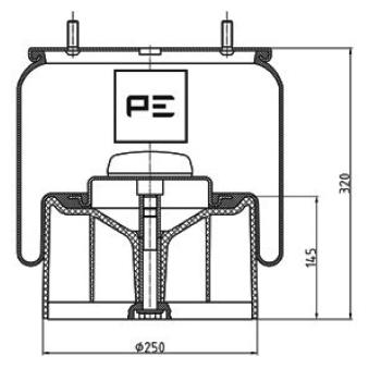 Ressort pneumatique, suspension pneumatique PE Automotive OEM 2198331