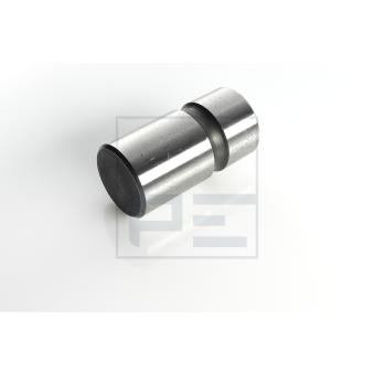 Axe de mâchoire de frein PE Automotive OEM 31413