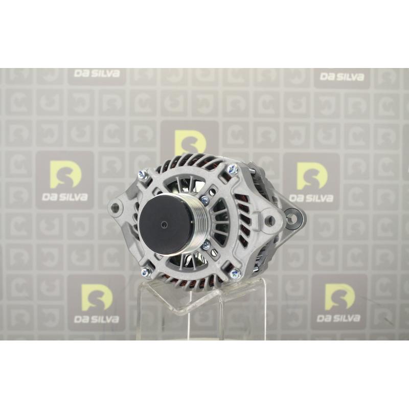 Alternateur DA SILVA 031109 - Visuel 1