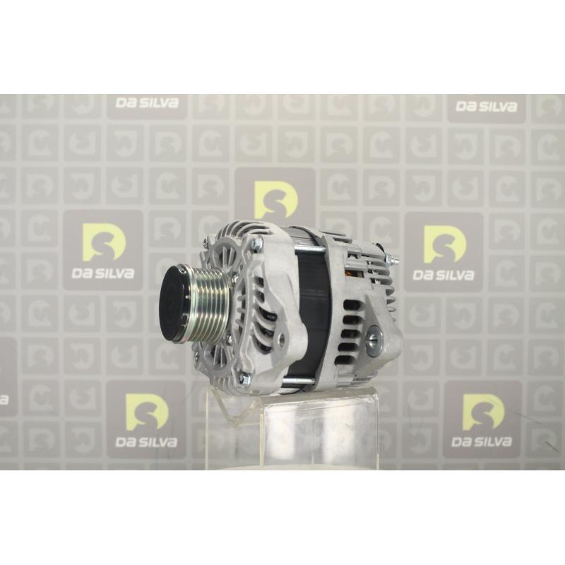 Alternateur DA SILVA 031210 - Visuel 2