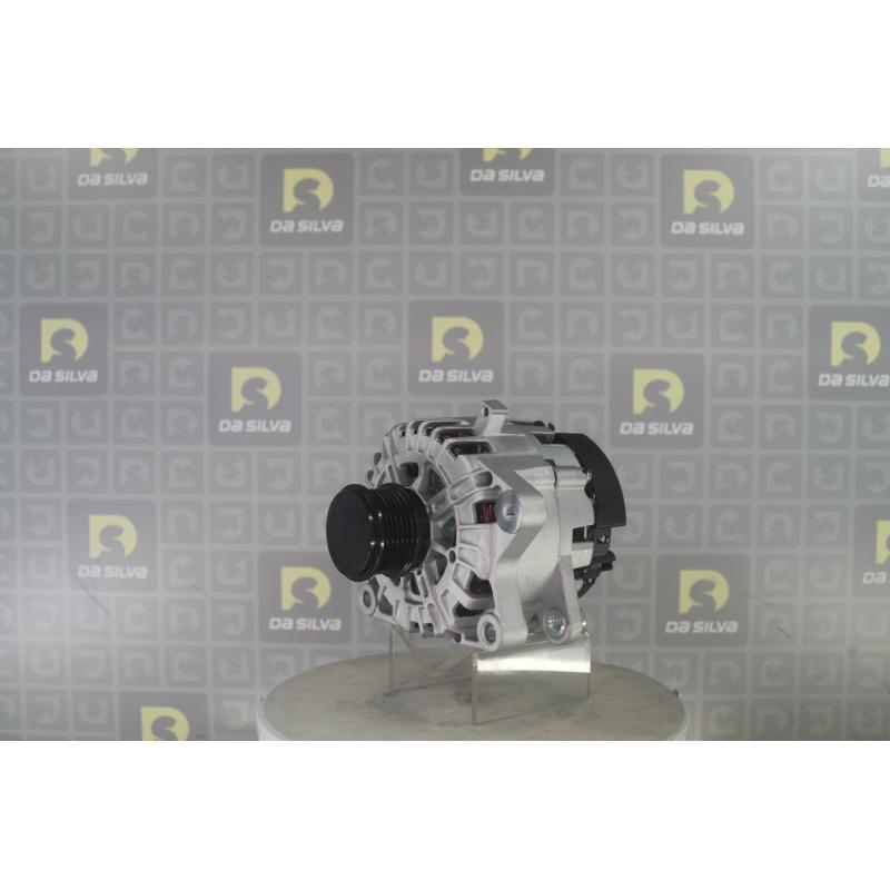 Alternateur DA SILVA 031309 - Visuel 1