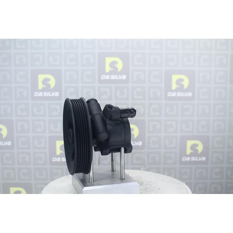 Pompe hydraulique, direction DA SILVA DP2171 - Visuel 2