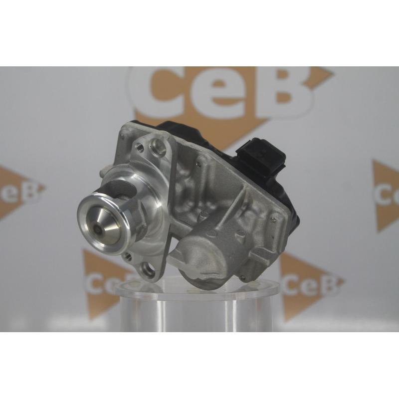 Vanne EGR DA SILVA GR6249 - Visuel 1