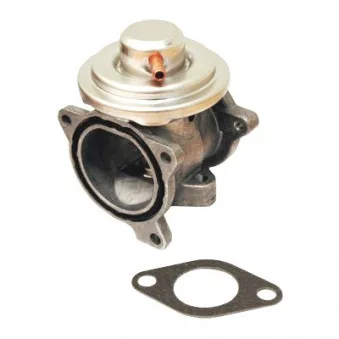 Vanne EGR MEAT & DORIA OEM 045131501F