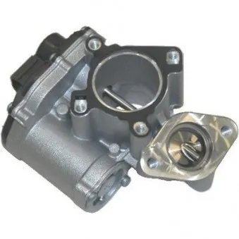Vanne EGR MEAT & DORIA OEM 1495600Q1A