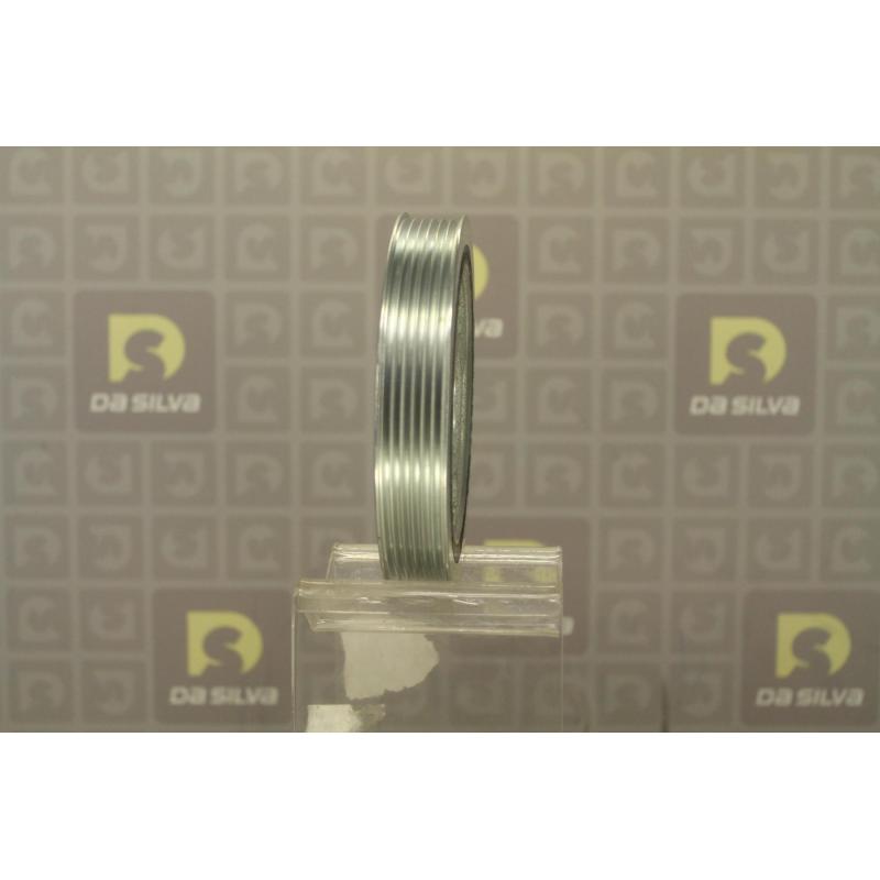 Poulie, vilebrequin DA SILVA PL8321 - Visuel 2