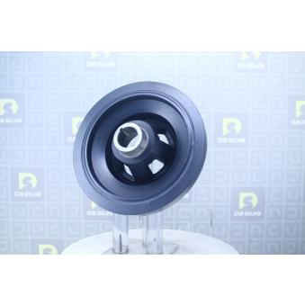 Poulie, vilebrequin DA SILVA OEM 6110301403