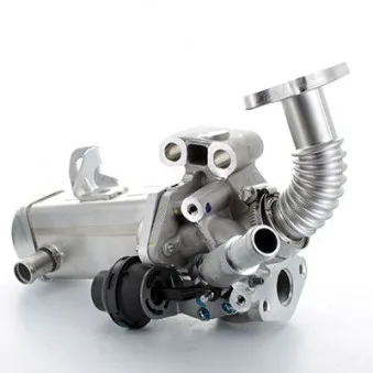 Module-EGR MEAT & DORIA OEM 147355X00B