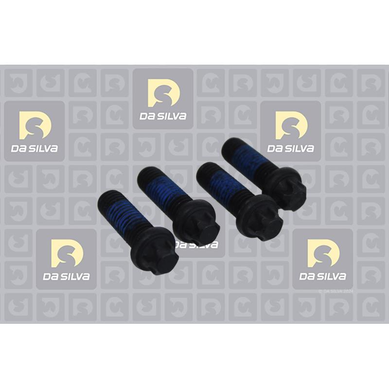 Kit de roulements de roue arrière DA SILVA TK1531 - Visuel 2