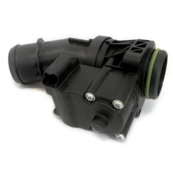 Corps papillon MEAT & DORIA 89270