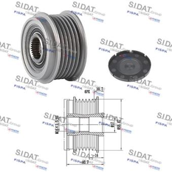 Poulie roue libre, alternateur FISPA OEM 8641982