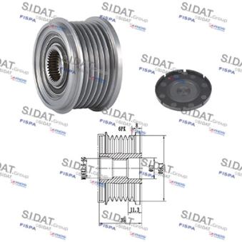 Poulie roue libre, alternateur FISPA OEM 96460654
