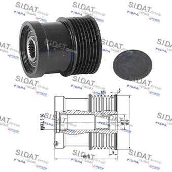 Poulie roue libre, alternateur FISPA OEM 2C1T10300AA Poulie roue libre, alternateur FISPA OEM 2C1T10300AA