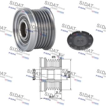 Poulie roue libre, alternateur FISPA OEM 04C903023C Poulie roue libre, alternateur FISPA OEM 04C903023C