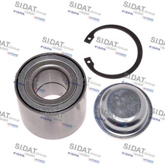 Roulement de roue arrière FISPA OEM 04700323 Roulement de roue arrière FISPA OEM 04700323