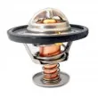 MEAT & DORIA 92120 - Thermostat d'eau