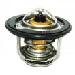 MEAT & DORIA 92183 - Thermostat d'eau