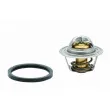MEAT & DORIA 92297 - Thermostat d'eau