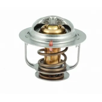 MEAT & DORIA 92327 - Thermostat d'eau