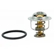 MEAT & DORIA 92331 - Thermostat d'eau