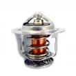MEAT & DORIA 92338 - Thermostat d'eau