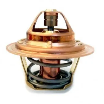 Thermostat d'eau MEAT & DORIA OEM BSG 65-125-019