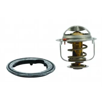 Thermostat d'eau MEAT & DORIA OEM 20SKV043