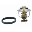 MEAT & DORIA 92438 - Thermostat d'eau