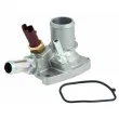 MEAT & DORIA 92562 - Thermostat d'eau