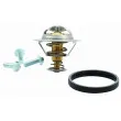 MEAT & DORIA 92637 - Thermostat d'eau
