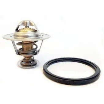 Thermostat d'eau MEAT & DORIA OEM 2550025001